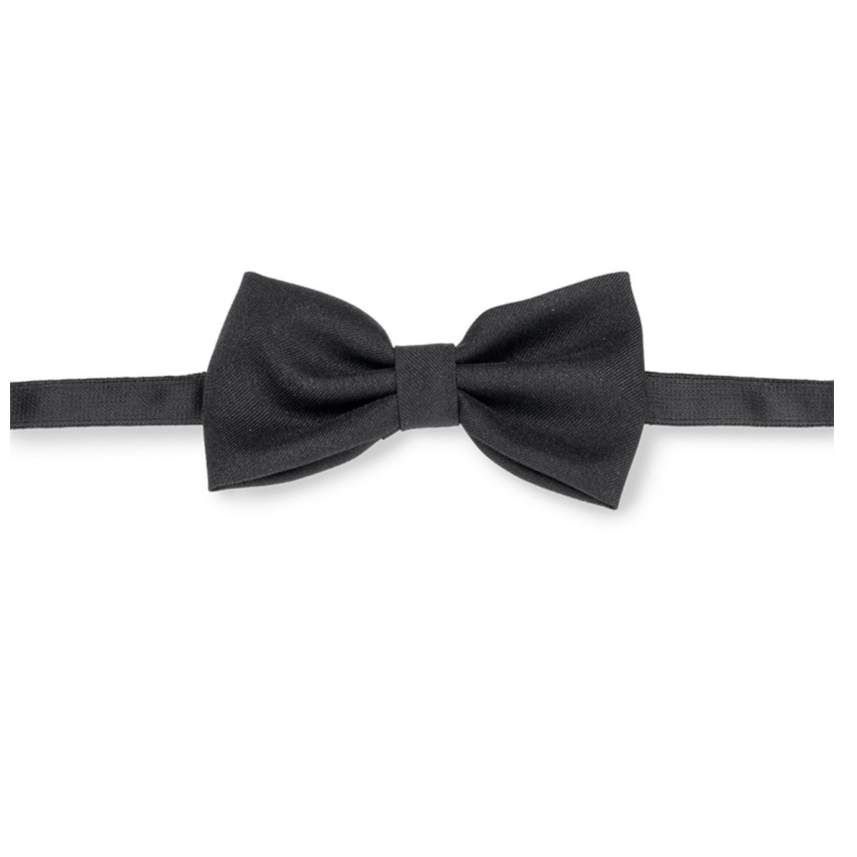 Papillon NERO 433 giblor's