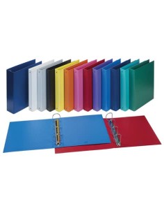 Raccoglitore FAVORIT Europa 22x30x4c