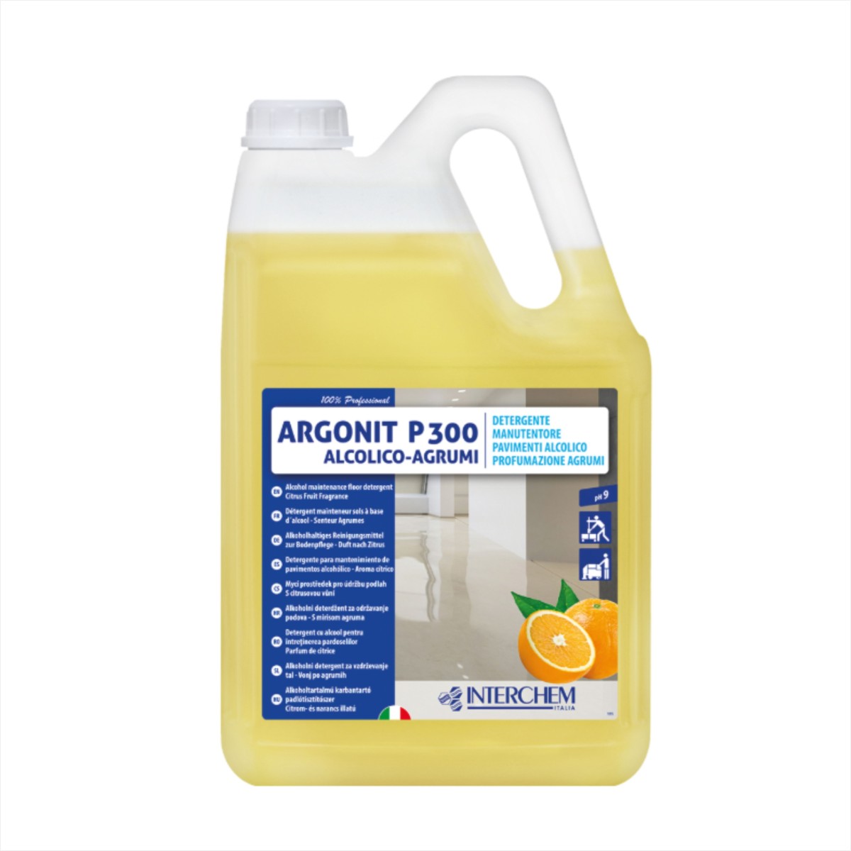 ARGONIT P 300 5kg (cf 4 pz)
